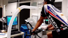 WTF? Fat Oxidation Rate of Key Importance for High-Intensity Exercise Performance?