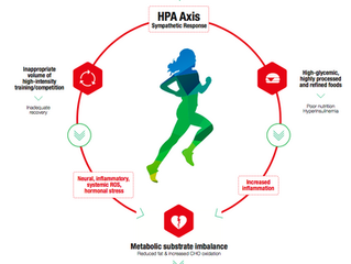 Can Fit Athletes Really be Unhealthy?